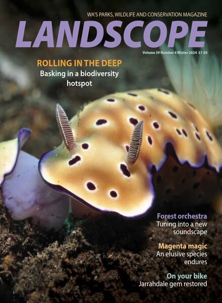 Landscope Magazine – Winter 2024 Cover