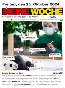 Meine Woche – 24 Oktober 2024