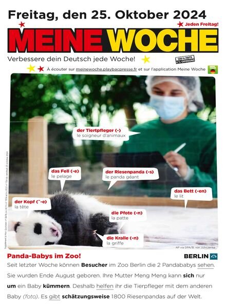 Meine Woche – 24 Oktober 2024 Cover