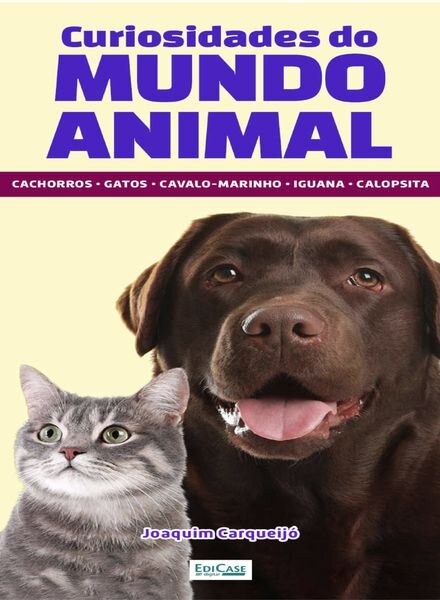 Minibooks EdiCase – 5 Outubro 2024 Cover