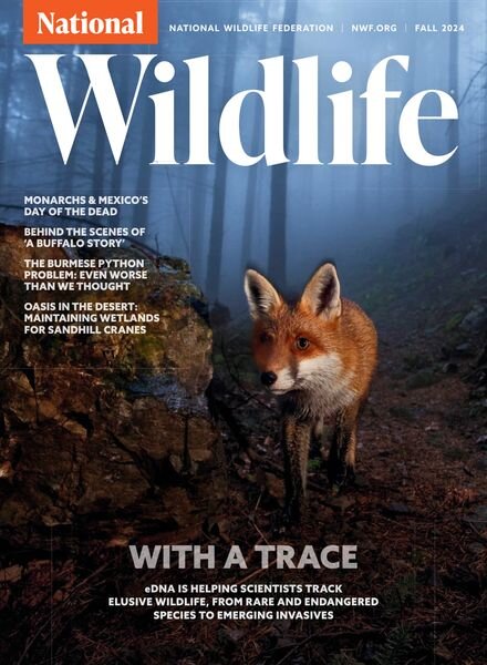 National Wildlife – Fall 2024 Cover