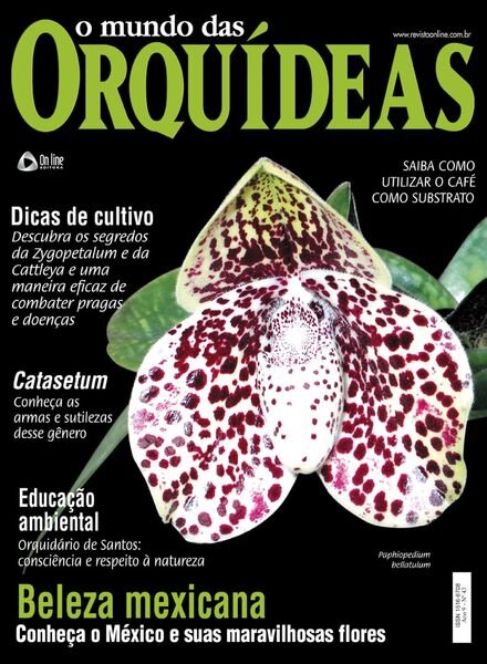 O Mundo das Orquideas – Setembro 2024 Cover