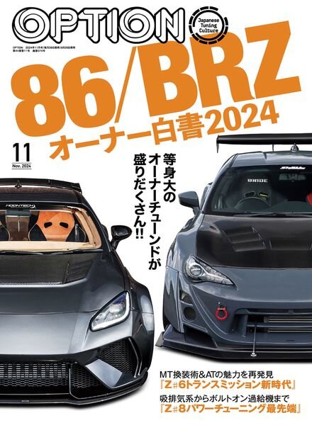 Option – November 2024 Cover
