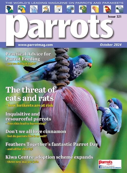 Parrots – October 2024 Cover