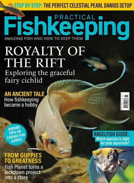 Practical Fishkeeping – November 2024 Cover