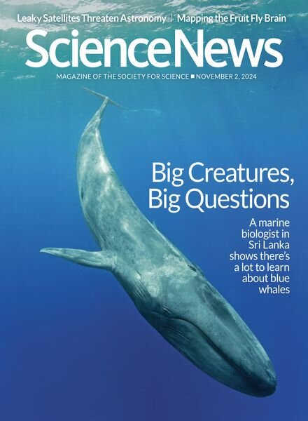Science News – 2 November 2024 Cover