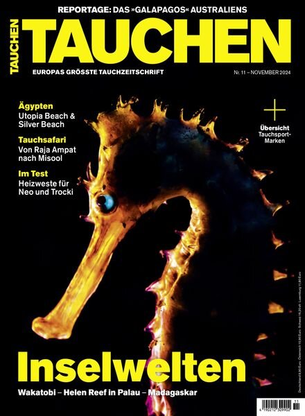 Tauchen – November 2024 Cover
