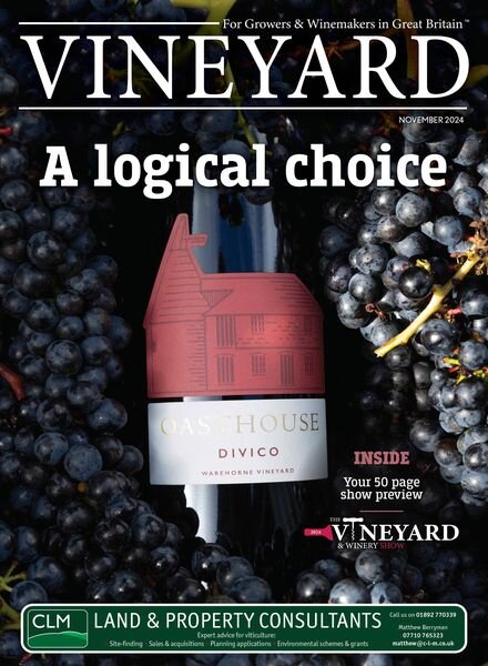 Vineyard – November 2024 Cover
