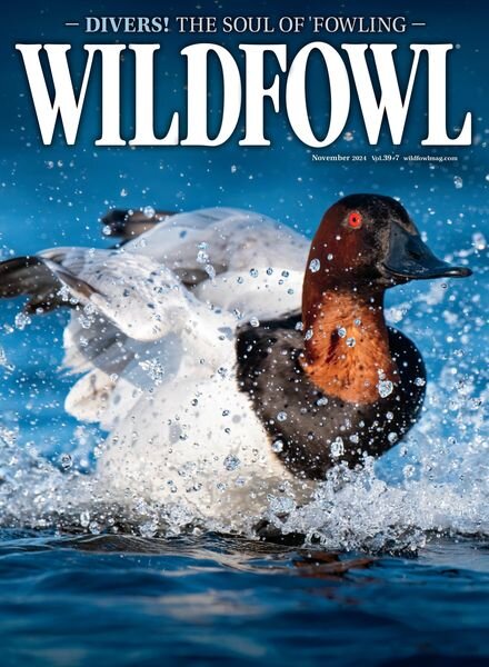 Wildfowl – November 2024 Cover