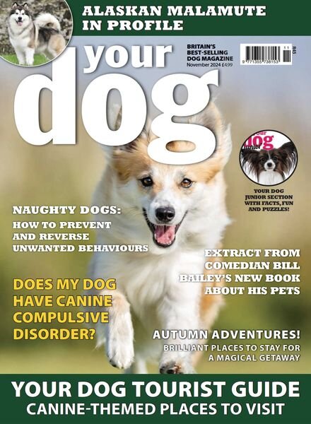 Your Dog – November 2024 Cover