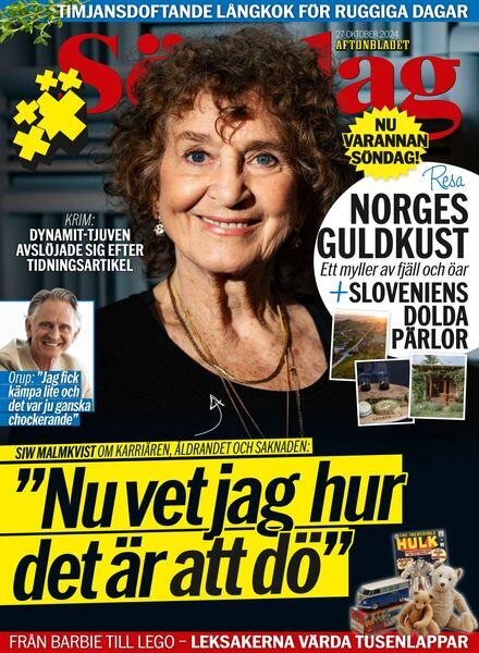 Aftonbladet Sondag – 27 Oktober 2024 Cover