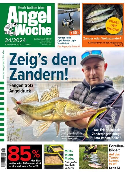 Angel Woche – 8 November 2024 Cover