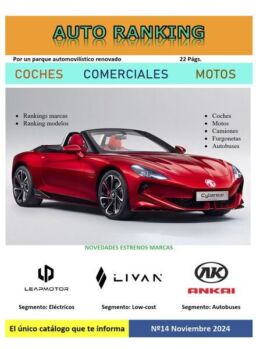 Auto Ranking – Noviembre 2024