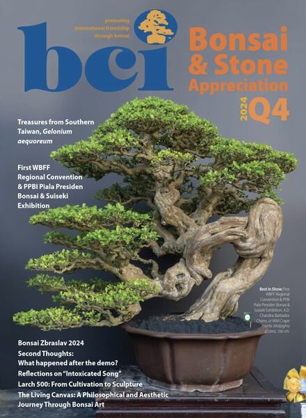 BCI Bonsai & Stone Appreciation Magazine – Volume 63 Number 4 2024 Cover