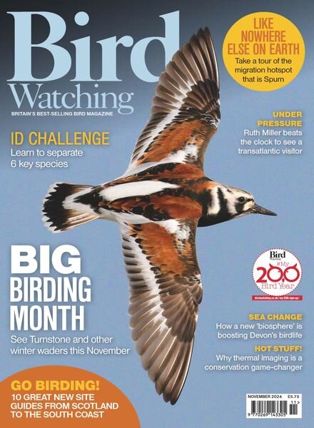Bird Watching UK – November 2024 Cover
