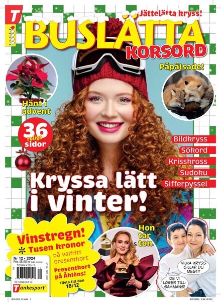 Buslatta – 13 November 2024 Cover