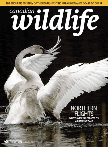 Canadian Wildlife – November-December 2024 Cover