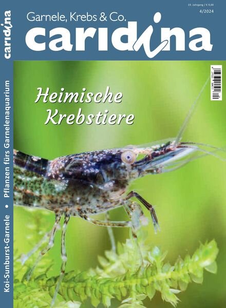 Caridina – November 2024 Cover