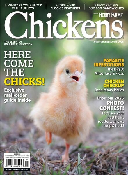 Chickens – January-February 2025 Cover