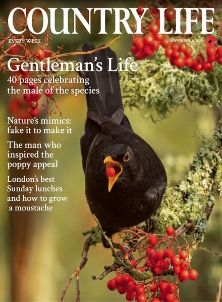 Country Life UK – November 6 2024 Cover