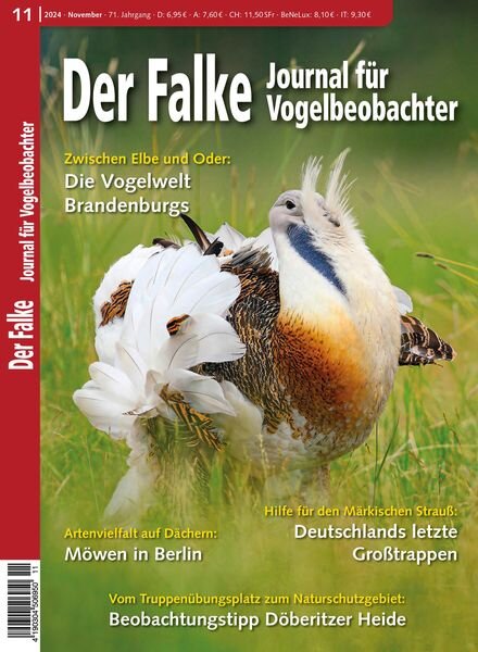 Der Falke Journal fur Vogelbeobachter – November 2024 Cover