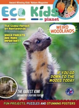 Eco Kids Planet Magazine – November 2024