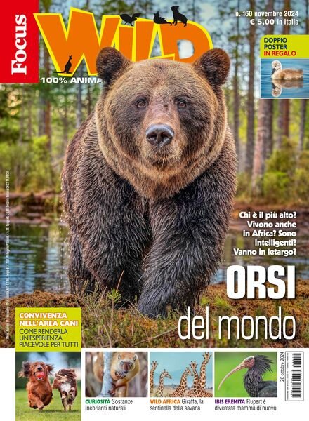 Focus Wild – Novembre 2024 Cover