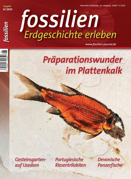 Fossilien – November-Dezember 2024 Cover