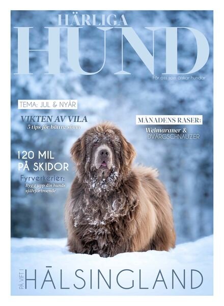 Harliga Hund – November 2024 Cover