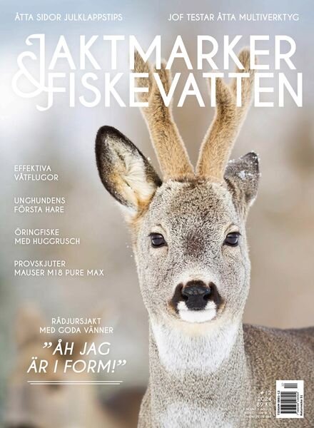 Jaktmarker & Fiskevatten – November 2024 Cover