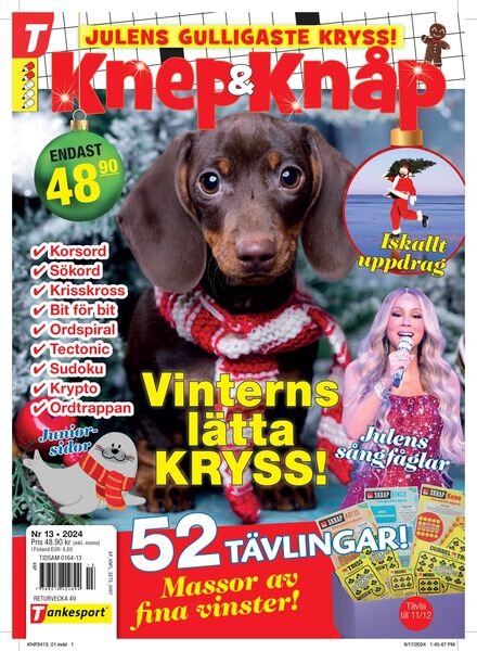 Knep & Knap – November 2024 Cover