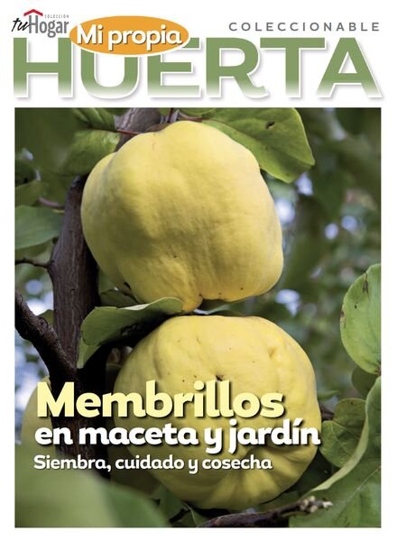 La Huerta en Casa – Noviembre 2024 Cover