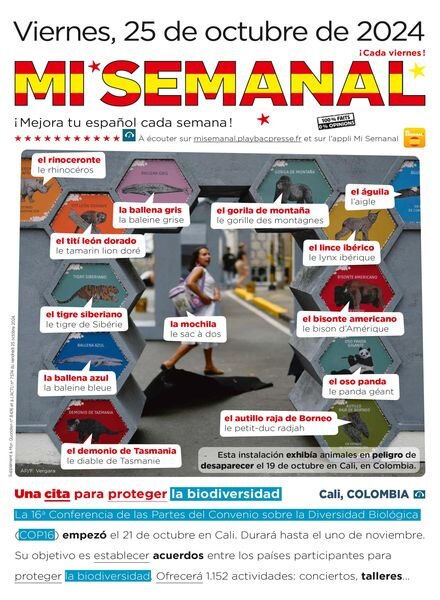 Mi Semanal – 25 Octubre 2024 Cover