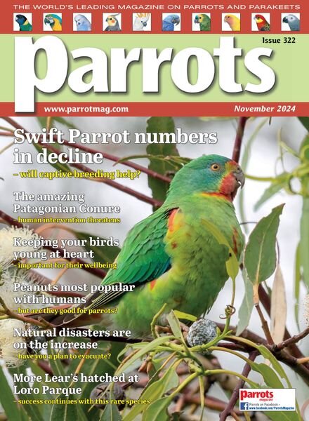 Parrots – November 2024 Cover