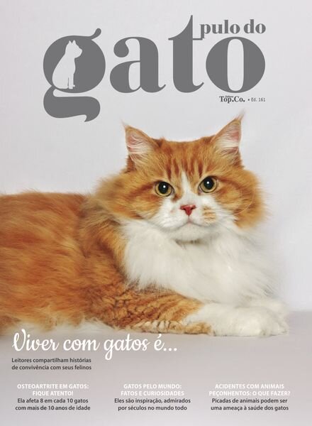 Pulo do Gato – Novembro 2024 Cover