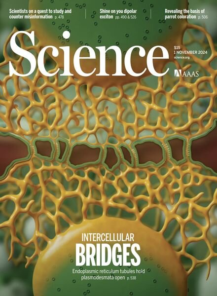 Science – 1 November 2024 Cover