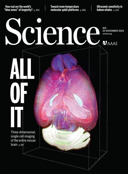 Science – 22 November 2024 Cover
