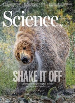 Science – 8 November 2024