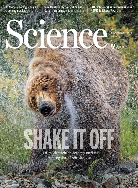 Science – 8 November 2024 Cover