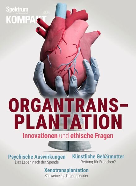 Spektrum Kompakt – 25 November 2024 Cover