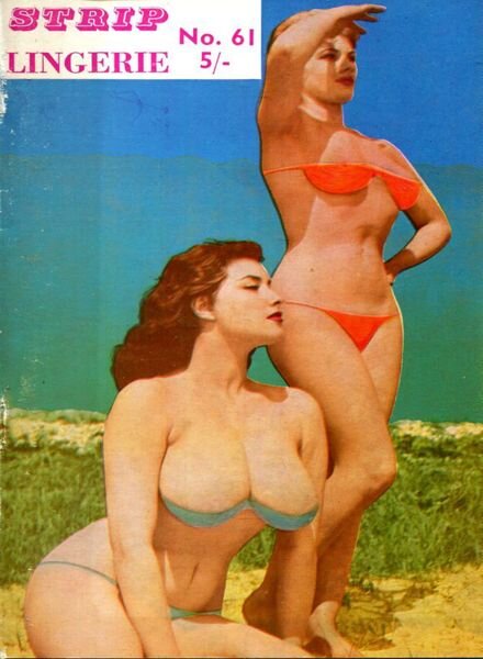 Strip Lingerie – N 61 Cover