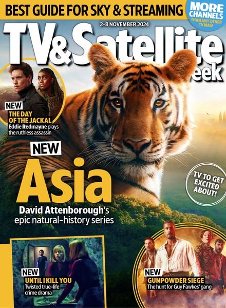 TV & Satellite Week – 2 November 2024 Cover