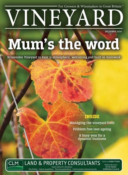 Vineyard – December 2024 Cover