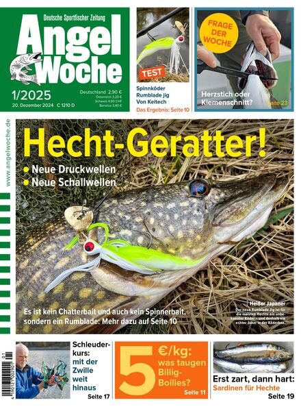 Angel Woche – 20 Dezember 2024 Cover