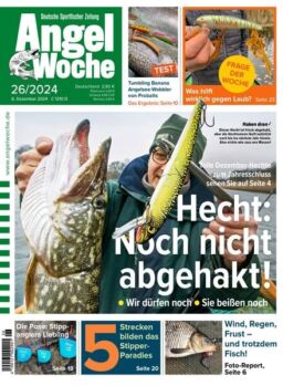 Angel Woche – 6 Dezember 2024
