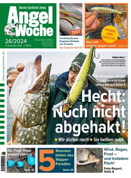 Angel Woche – 6 Dezember 2024 Cover