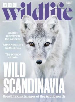 BBC Wildlife – January 2025