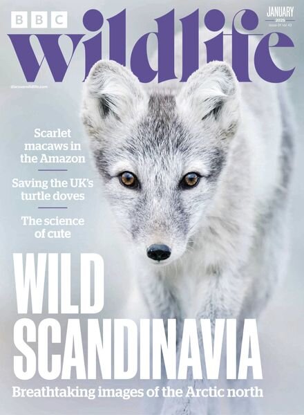 BBC Wildlife – January 2025 Cover