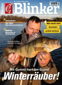 Blinker – Januar 2025