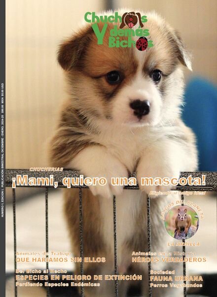 Chuchos y Demas Bichos – Diciembre 2024 – Enero 2025 Cover
